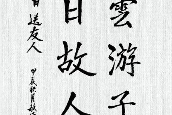 浮云游子日落西是什么生肖(浮云游子日落西的意思)