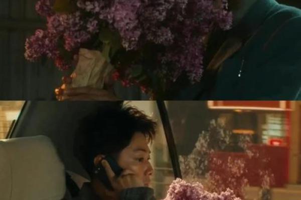 月老姻缘簿揭秘命中注定的爱情密码