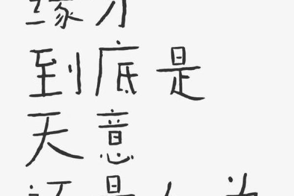 何为缘分 何为缘分揭秘命运交织的奥秘