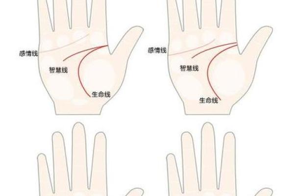 感情线怎么看几段姻缘_感情线解析如何看几段姻缘的命理奥秘