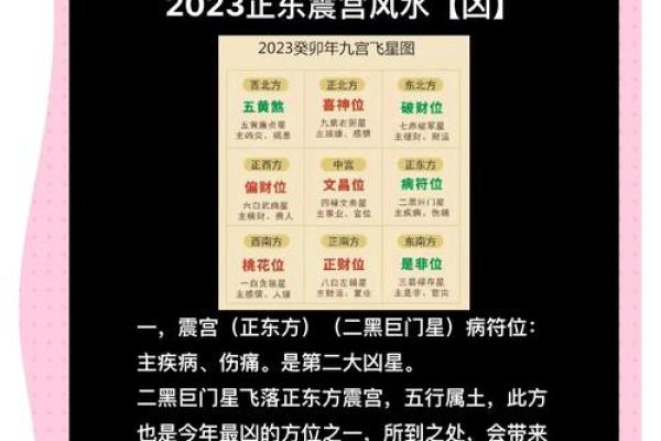 夫妻宫巨门星旺_夫妻宫巨门星旺什么意思