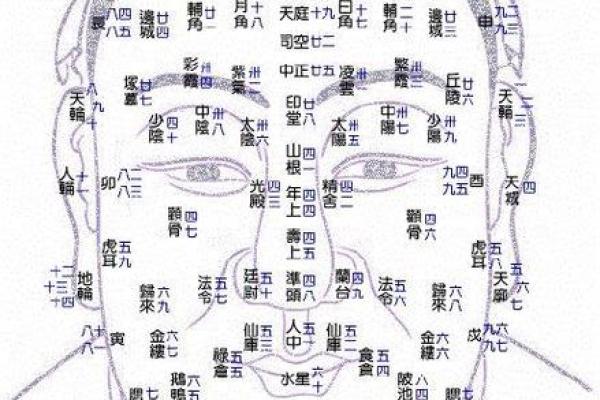 夫妻宫乙丑是什么意思_夫妻宫是乙卯