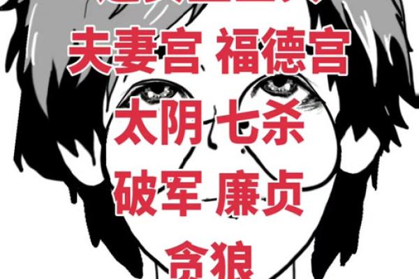 福德宫廉贞化忌_福德宫廉贞化忌代表什么