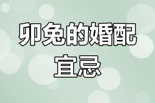 属兔的最佳配偶是谁 属兔的最佳配偶是谁揭秘生肖兔的完美婚配指南 属兔的最佳配偶是谁 属兔的最佳配偶是谁揭秘生肖兔的完美婚配指南