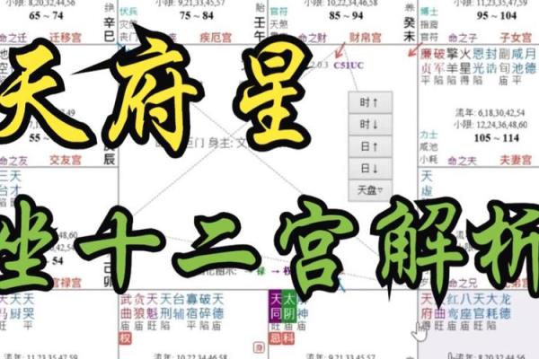 福德宫四化入十二宫的情况_福德宫四化入十二宫详解命理玄机与运势解析