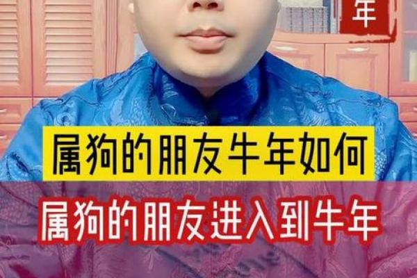 1982属狗女2025年运势完整版 1982属狗43岁桃花劫