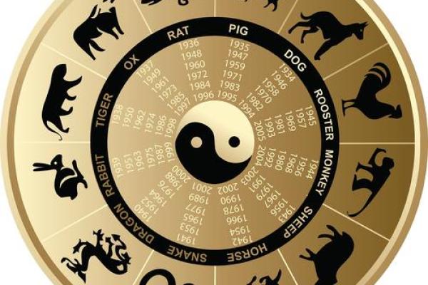 一箭双雕是什么生肖(一箭双雕是什么生肖数字)