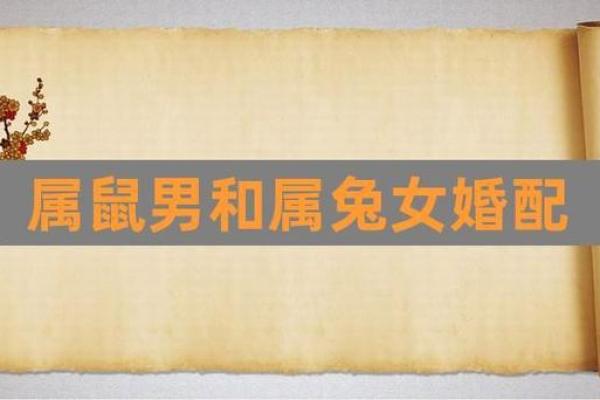 属兔男最佳婚配属相 属兔男最佳婚配属相是什么生肖
