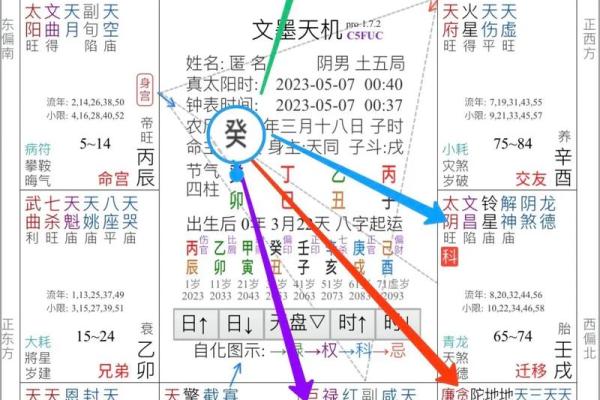 2025年3月28日子时女命紫微斗数全解盘 2025年3月28日子时女命紫微斗数全解盘