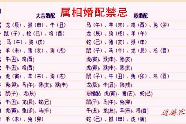 属兔女和属鼠男的婚配好不好 属兔女和属鼠男婚配好吗生肖配对解析 属兔女和属鼠男的婚配好不好 属兔女和属鼠男婚配好吗生肖配对解析