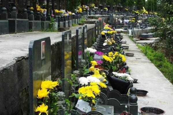 2021年4月4号上坟