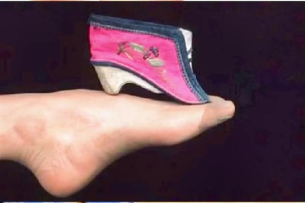 三寸金莲是什么生肖(三寸金莲是什么生肖动物)