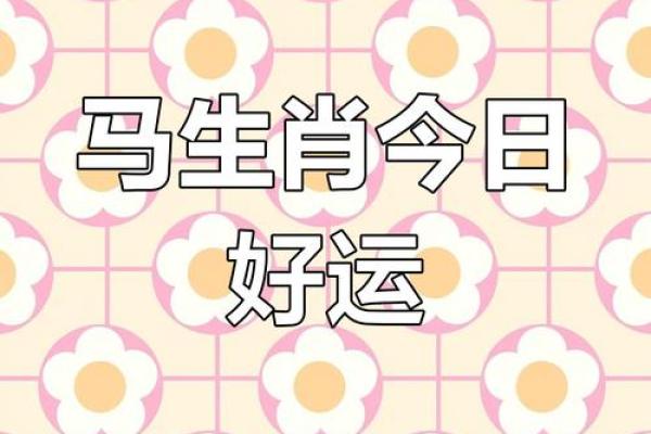 今年属马人的运势怎么样2025_2025年90属马女有两喜