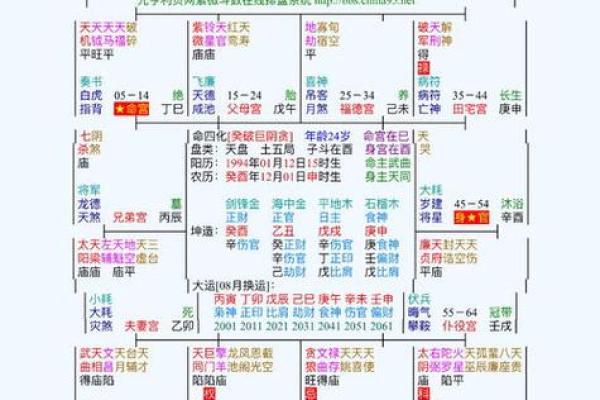 2025年3月8日寅时男命紫微斗数全解盘