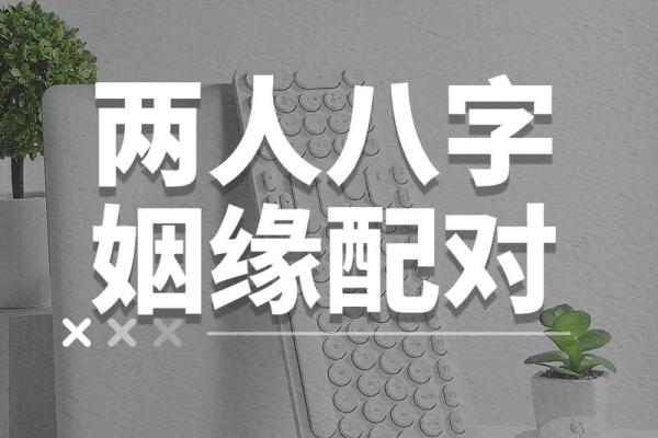 生辰八字算姻缘_免费查自己的姻缘