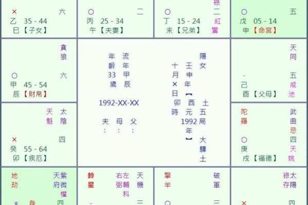 2025年2月25日卯时男命紫微斗数全解盘