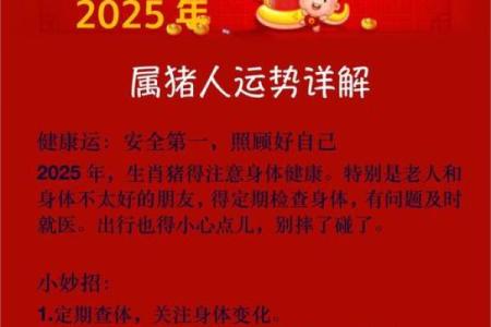2025年属猪女运势详解财运爱情事业全面解析