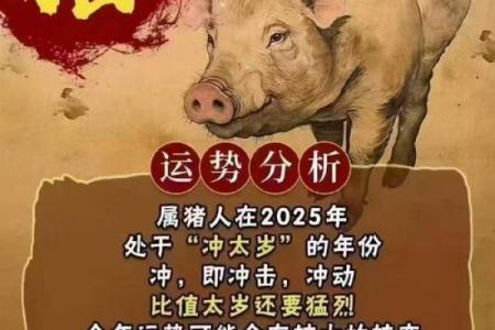 83年2025属猪的运势和财运 83年属猪2025 年的运气