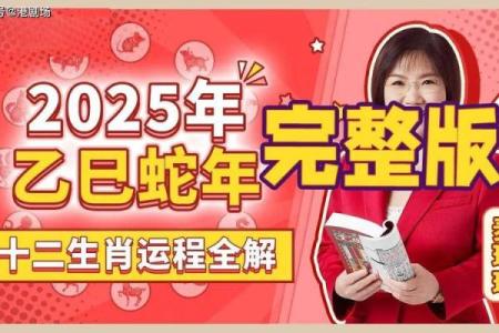 2025年属兔人每月运势详解全年运程大揭秘