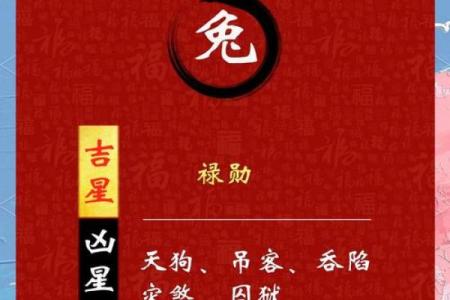 2025年属兔人终于转运了 1975年出生_1975年几月兔最有福气