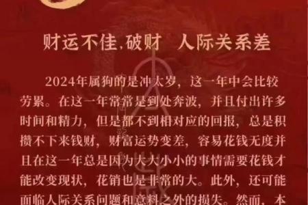 2025年属狗人的全年运势1982出生 2025年属狗人全年运势解析1982年出生者必看