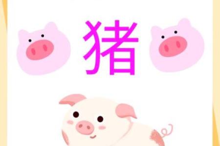 2025年属猪躲星时间表_2025年属猪人的全年运势详解