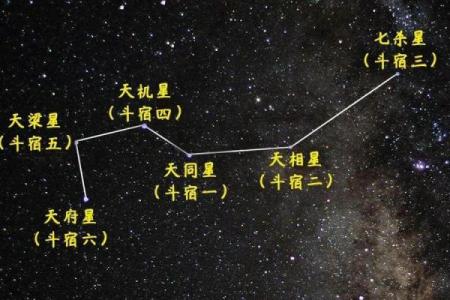 夫妻宫天相星 夫妻宫天相星解析婚姻运势与命理奥秘