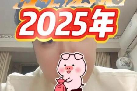属猪的2025年几岁_属猪的2025年运势怎么样