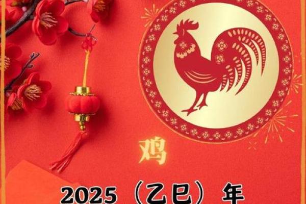 属鸡今年多大了岁数表_属鸡今年多大年龄的今年多大了 属鸡今年多大了岁数表_属鸡今年多大年龄的今年多大了
