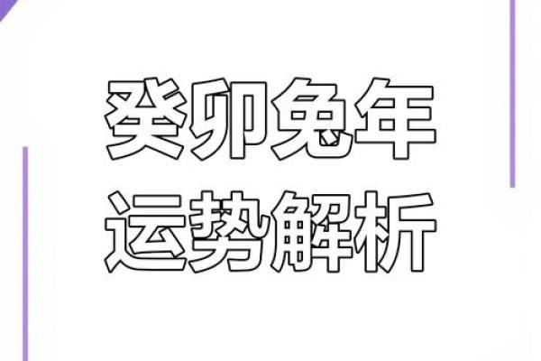 2023年兔年运势 2023年兔年运势解析财运事业爱情全攻略
