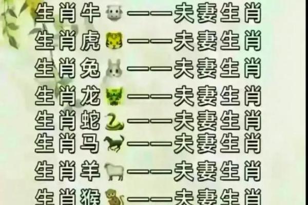 夫妻八字婚配表_夫妻八字婚配表揭秘最佳姻缘配对指南