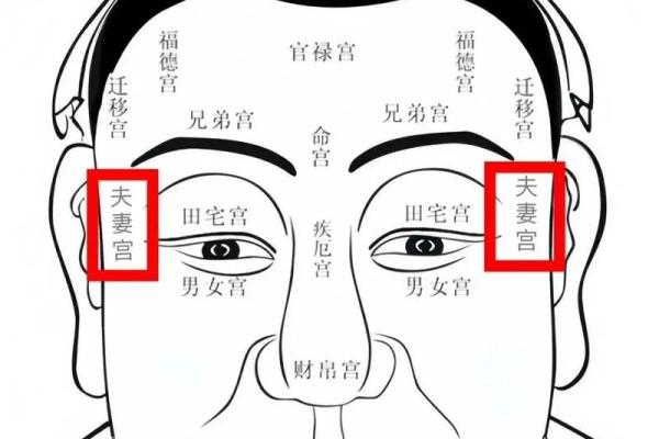 夫妻宫紫薇解析揭秘婚姻运势与感情走向