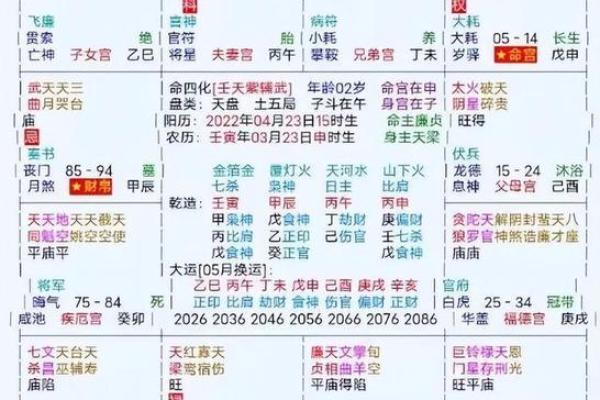 2025年2月25日子时女命紫微斗数全解盘