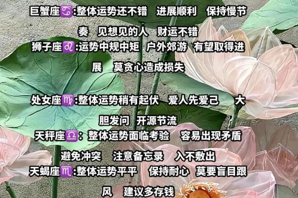 2003年属羊婚姻运势 2003年属羊婚姻运势解析爱情与幸福的关键时刻