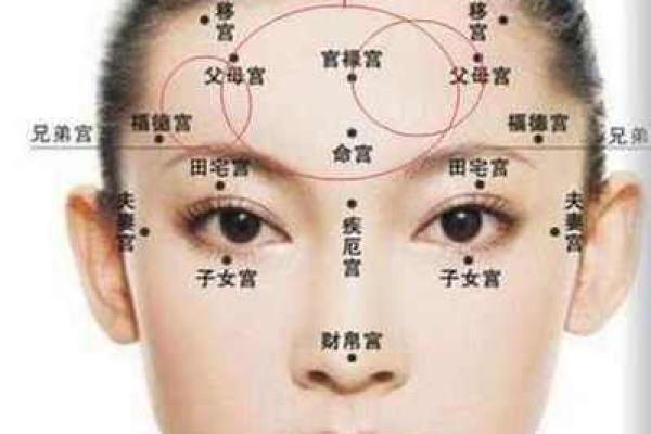 福德宫巨门旺 福德宫巨门旺揭秘财富与运势的玄机