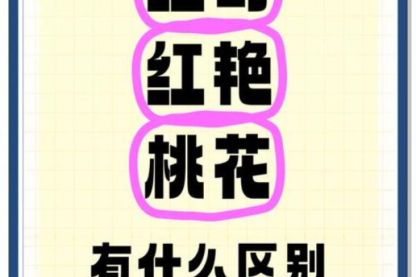 福德宫红鸾是什么意思 福德宫红鸾解析命理中的爱情与婚姻预示 福德宫红鸾是什么意思 福德宫红鸾解析命理中的爱情与婚姻预示