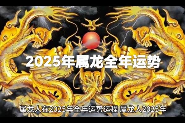 属龙的人今年多大2025年_属龙的今2021年多大