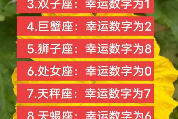 白羊座座今日运势紫薇科技星座网_白羊座今日运势解析紫薇科技星座网独家预测
