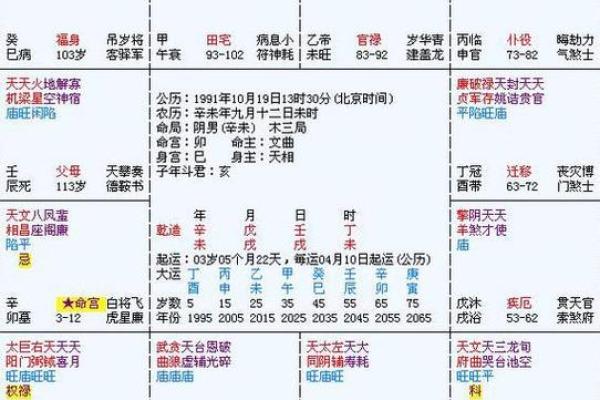 2025年3月24日子时男命紫微斗数全解盘