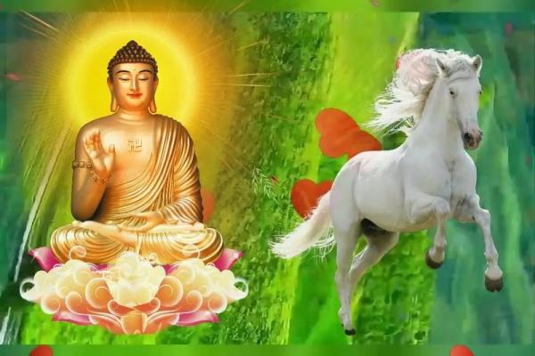 属马人的今日运势_属马人今日运势非常运势网