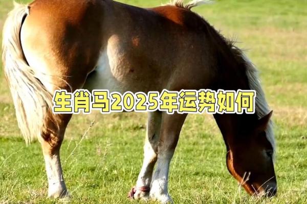 1990年男马2025年运势 1990年的马在2025年怎么样