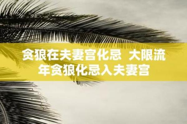 夫妻宫贪狼化忌_夫妻宫贪狼化忌女人