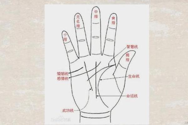 手相看姻缘揭秘掌纹中的爱情密码