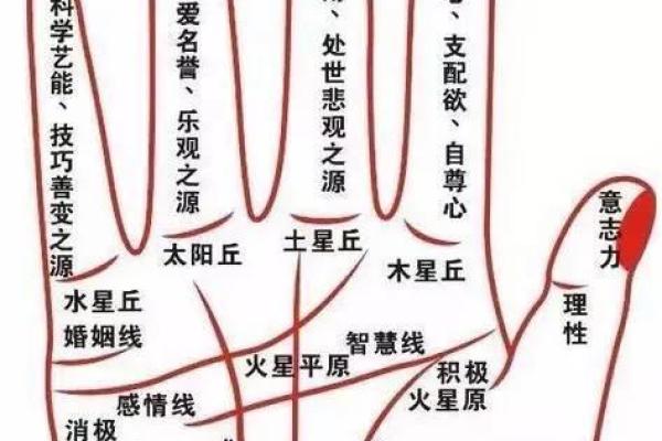 手相看姻缘揭秘掌纹中的爱情密码