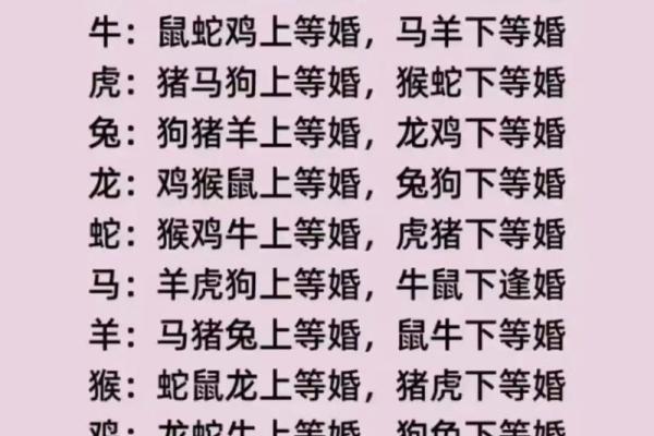 2002年属马配什么生肖最好最佳婚配属相揭秘