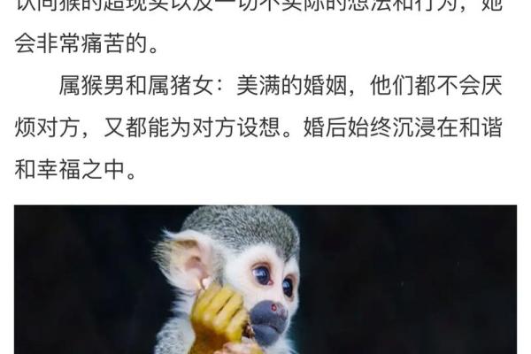 2025年结婚好不好92年属猴的