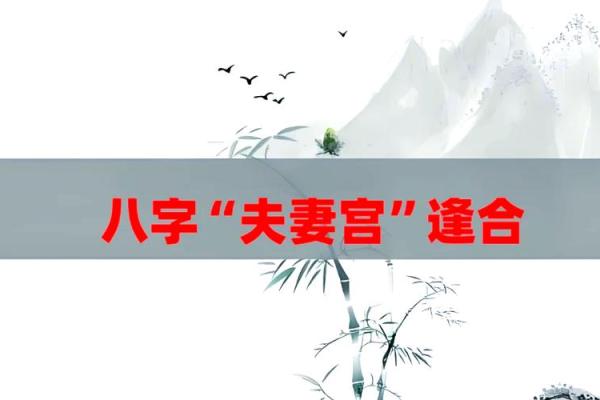 夫妻宫天同是什么意思 夫妻宫天同另一半性格