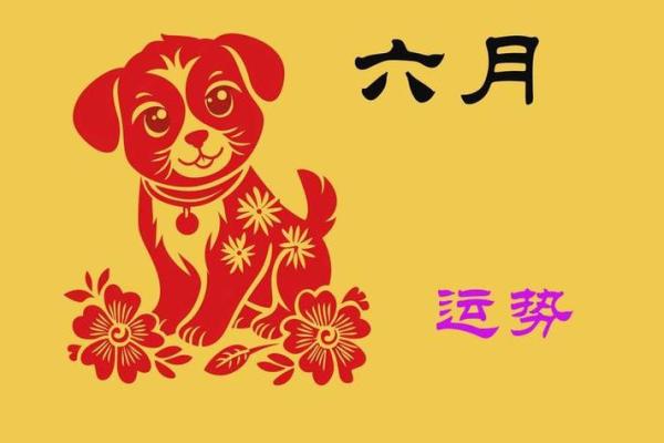 1982年属狗人2024年运势及运程_1982年属狗2025年运势完整版