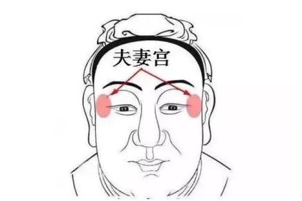 夫妻宫紫薇化科 夫妻宫紫薇化科看配偶长相