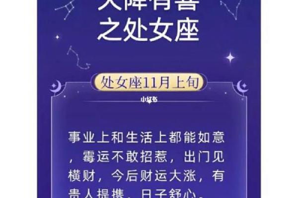 处女座2023年感情运势完整版_处女座2021年到2030年运势